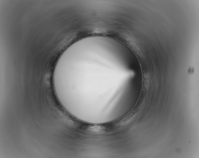 X0000089940269200707271824