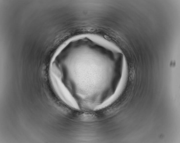 X0000089940270200707271824