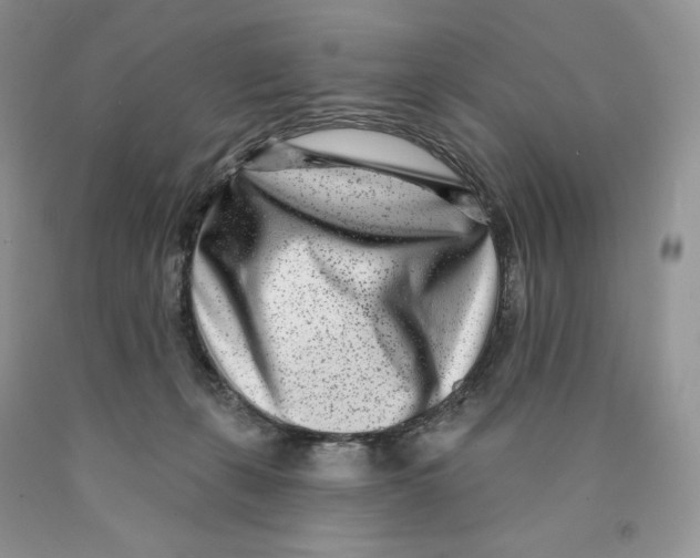X0000089940271200707271825