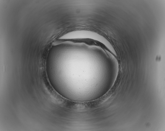 X0000089940272200707271825