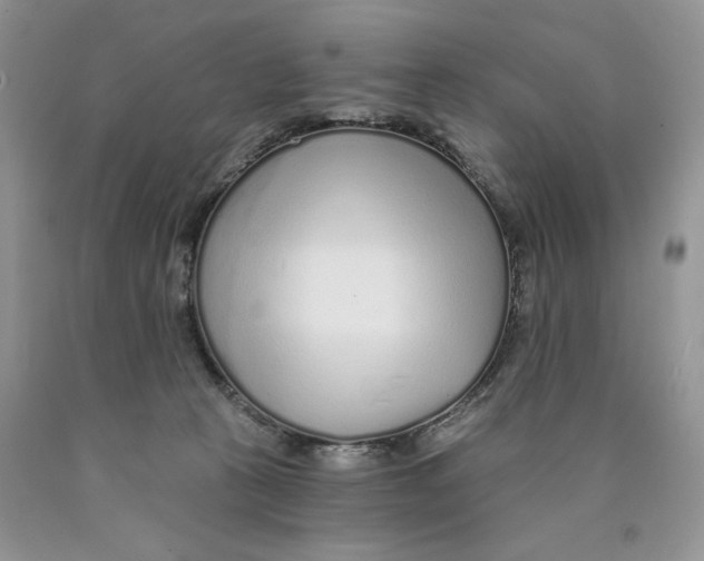X0000089940273200707271825