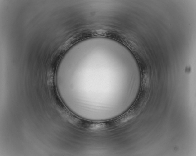 X0000089940274200707271825
