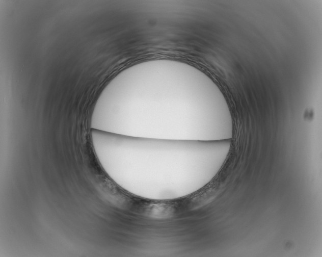 X0000089940275200707271825