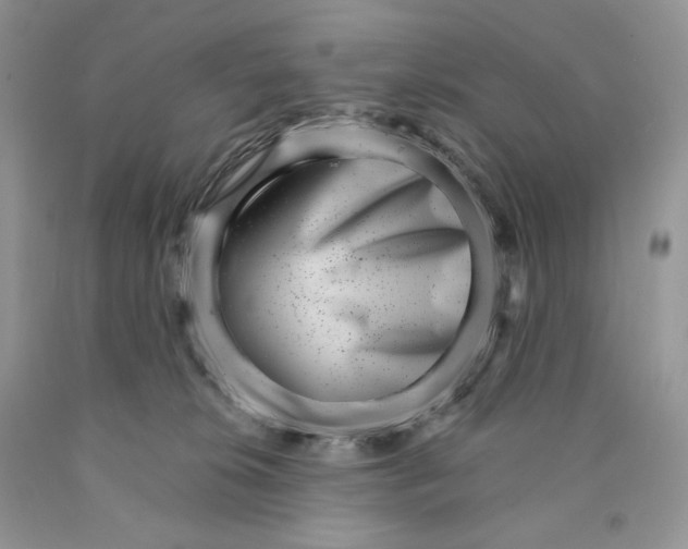 X0000089940276200707271825