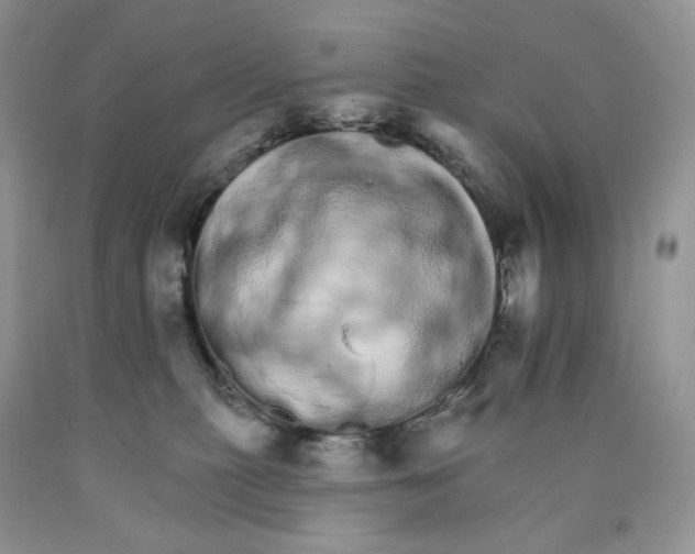 X0000089940279200707271825