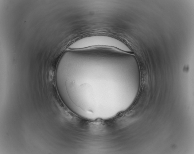 X0000089940281200707271825
