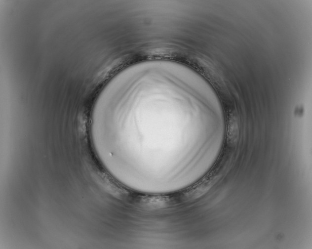 X0000089940282200707271825