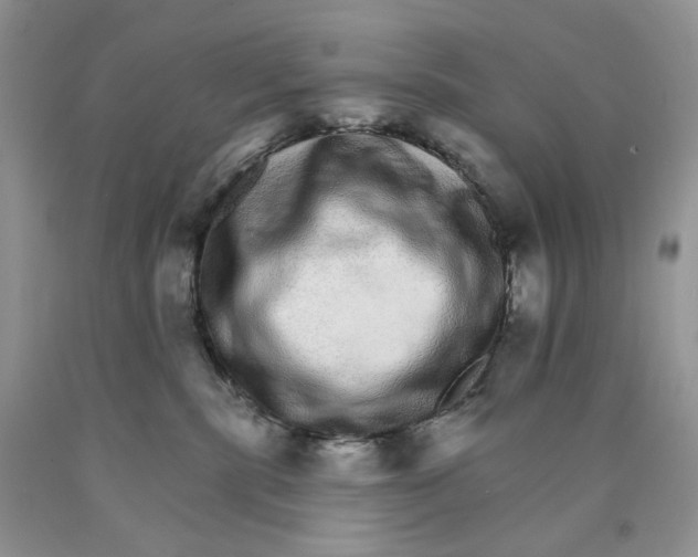 X0000089940283200707271825
