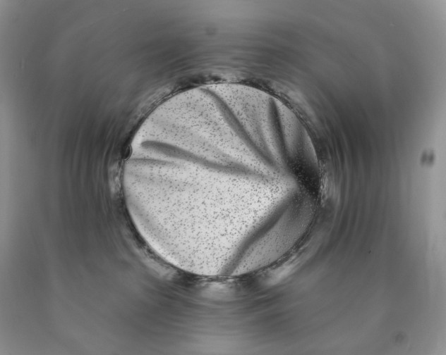 X0000089940285200707271825