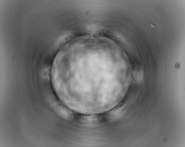 X0000089940286200707271825