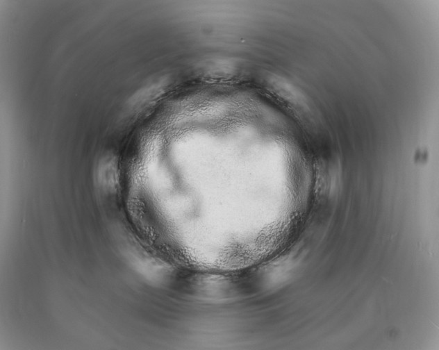 X0000089940287200707271825