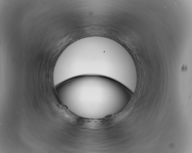 X0000089940288200707271825