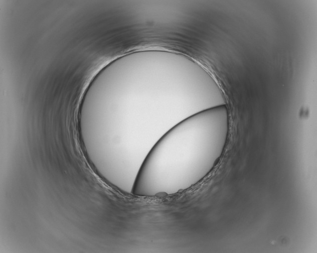 X0000089940289200707271824