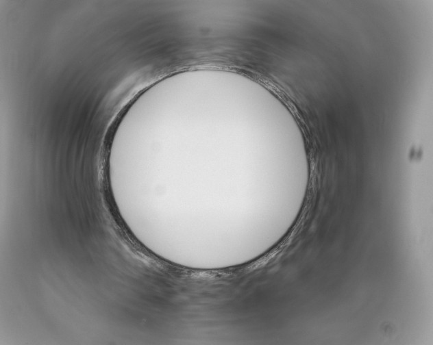 X0000089940290200707271824