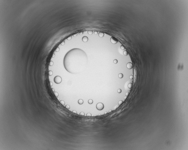 X0000089940291200707271824