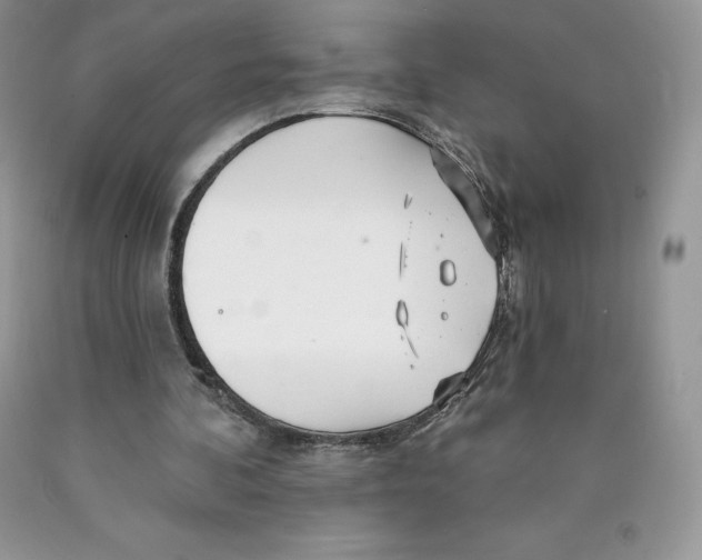 X0000089940292200707271824