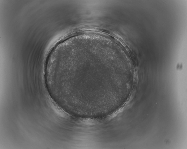 X0000089940293200707271824