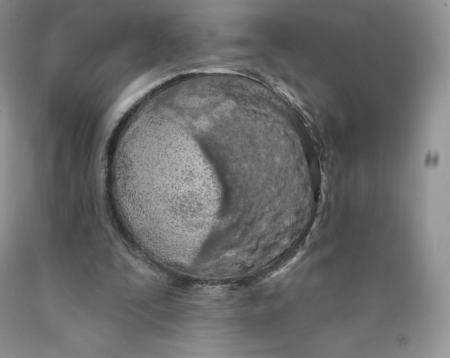 X0000089940295200707271824