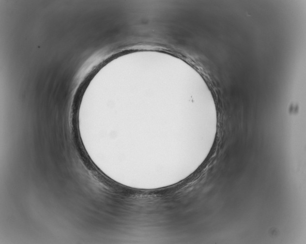 X0000089940296200707271824
