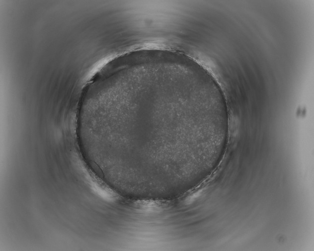 X0000089940297200707271824