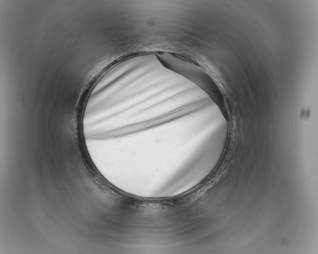 X0000089940298200707271824