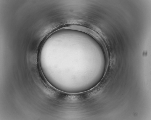 X0000089940299200707271824