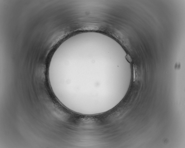 X0000089940300200707271824