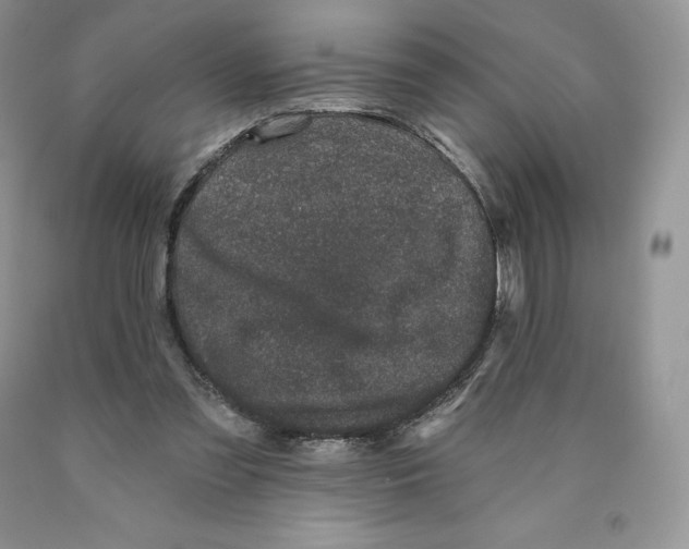 X0000089940301200707271824
