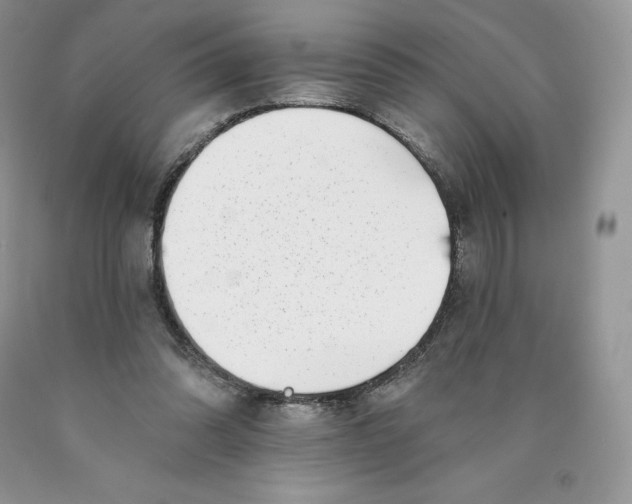 X0000089940302200707271824