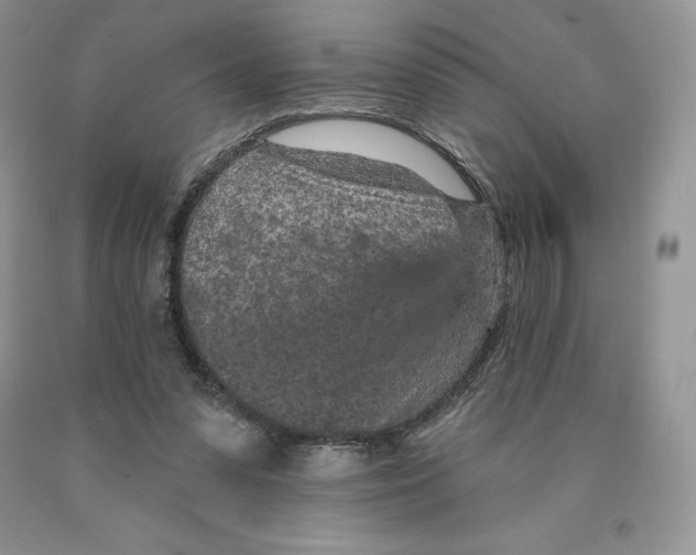 X0000089940303200707271824