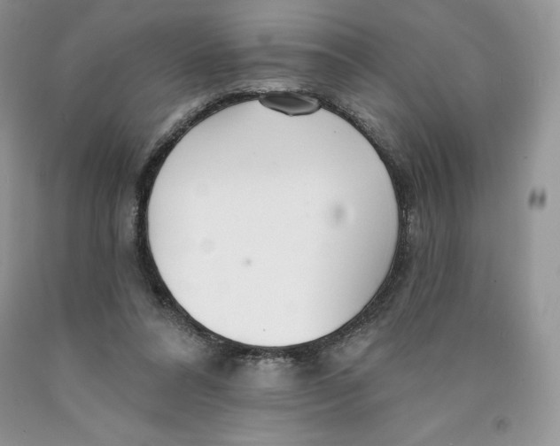 X0000089940304200707271824