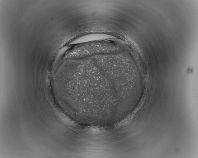 X0000089940305200707271824