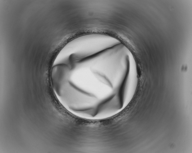X0000089940306200707271824