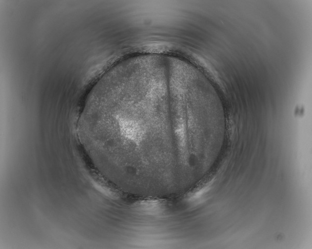 X0000089940307200707271824