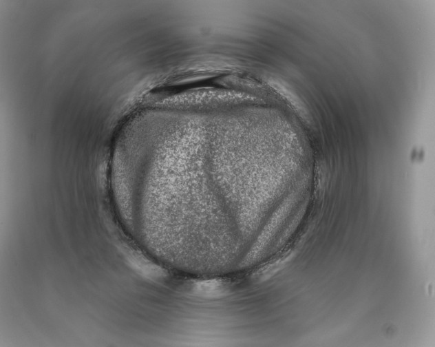 X0000089940309200707271824