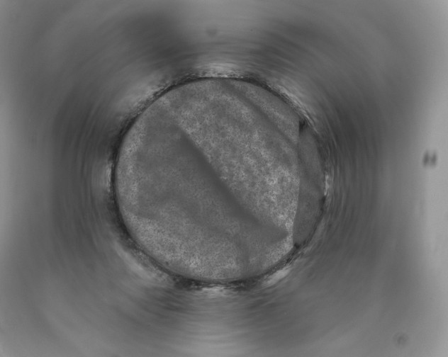 X0000089940310200707271824