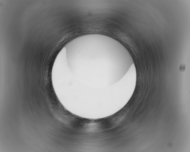 X0000089940312200707271824