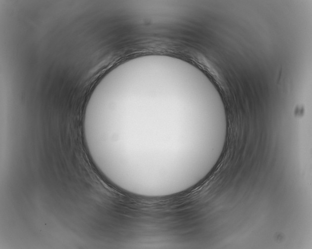 X0000089940313200707271824