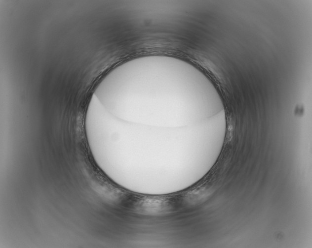 X0000089940314200707271824