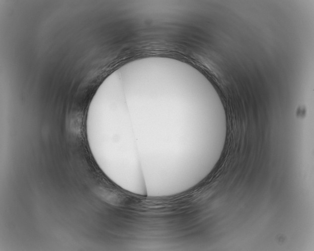 X0000089940315200707271824