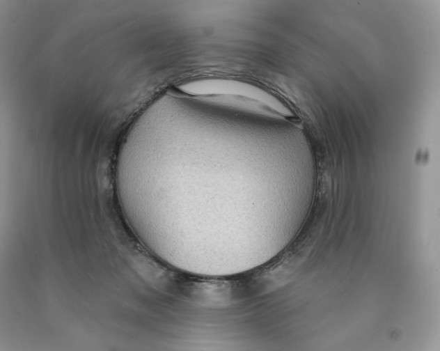 X0000089940317200707271824