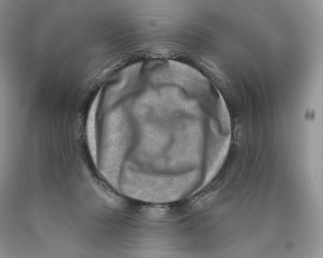 X0000089940318200707271824