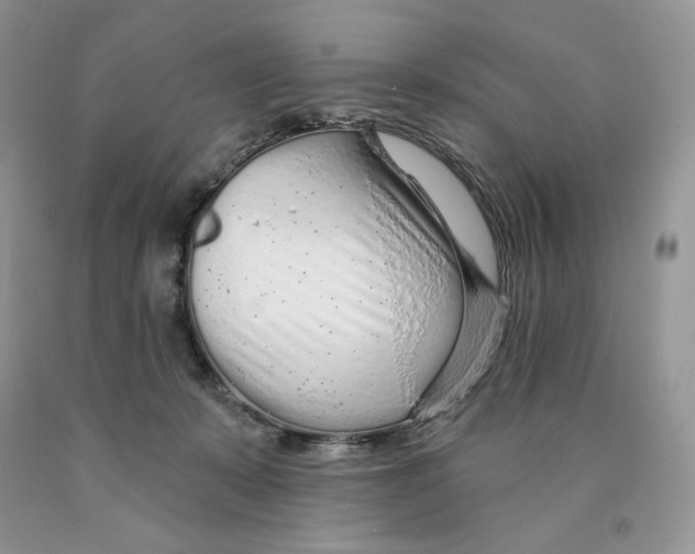 X0000089940319200707271824