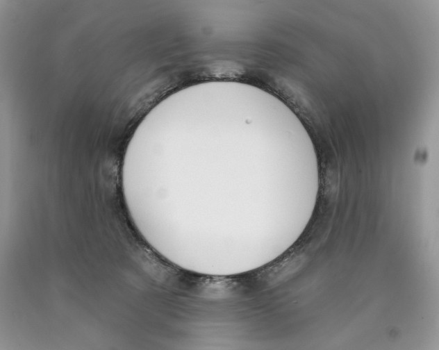 X0000089940321200707271824