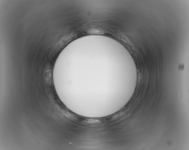 X0000089940322200707271824