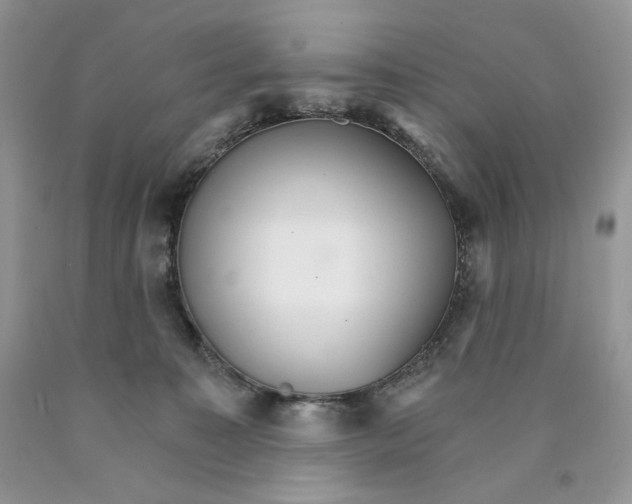 X0000089940323200707271824
