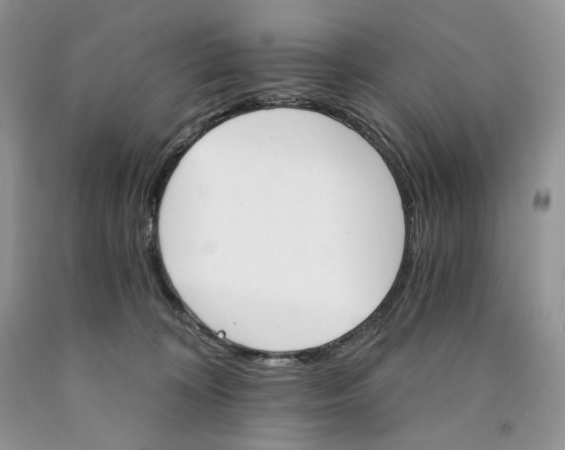 X0000089940324200707271824