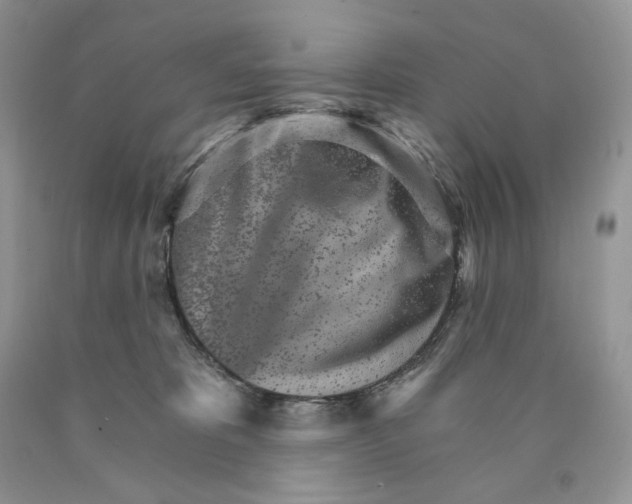 X0000089940325200707271824