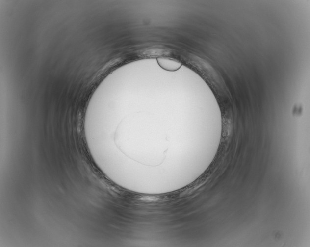 X0000089940326200707271824