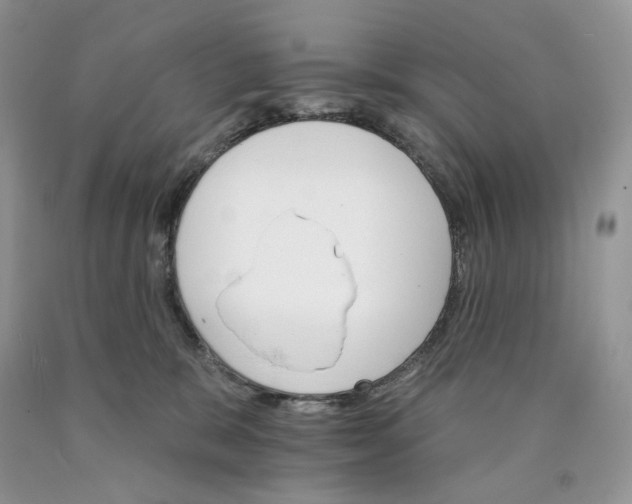 X0000089940327200707271824